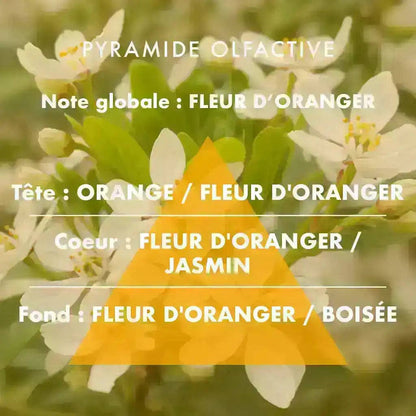 Automobilio kvapas „Orange blossom“ (8 ml)